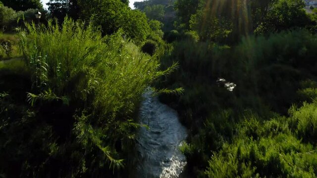 cork oak natural area of Mosquera alto palancia spain mditerranean aerial view