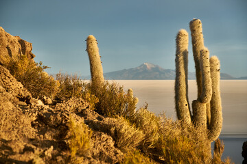 Sun rise shot at Uyuni salar. South of Bolivia.