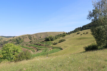 Kaiserstuhl im Breisgau im Rheingraben