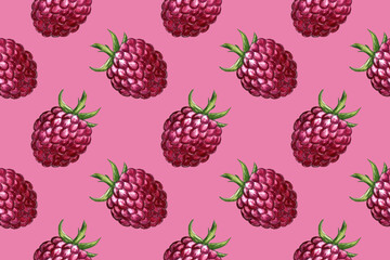 Hand drawn illustration of raspberry. Seamless pattern with berry drawing. Organic fruit grown on the farm