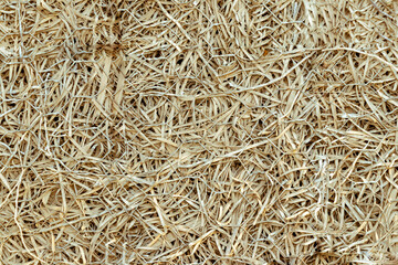 Hay dry grass backdrop background texture