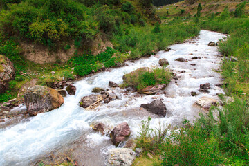 Mountain river among green mountains. Summer landscape.