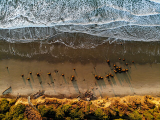 Moeraki Boulders Aerial Sunrise © Rachel