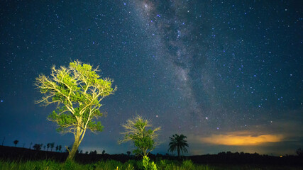 Milky-way and stars Galaxy across the night sky with silhouette of tree and grass field as...
