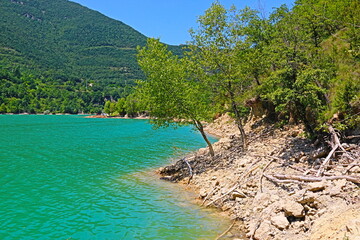 paisaje con lago y vegetación en verano