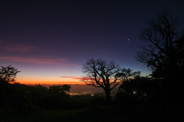 Night sky over the field