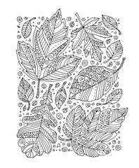 Forest leaves pattern. Elm, maple, oak, birch, linden. Hand drawn artwork. Top view. Zentangle, doodle, tattoo. Woodcut style. Coloring book page for adult. Black and white