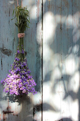 Bunch of lavender on a blue weathered wooden background with copy space. Process of drying and storing garden herbs. Selective focus. 