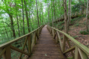 View from wooden walkway, without people, that runs through a forest, in Cantabria, Spain, horizontal