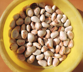 Dry seeds of jackfruit. The seeds from ripe jackfruit are edible. 
