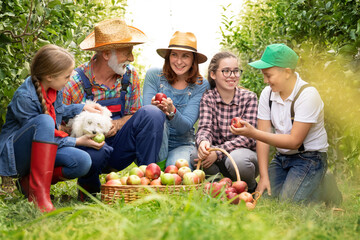 Smiling family picking up apple