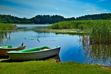 Łódź, łódka rybacka, ptak w locie na mazurskim jeziorem.