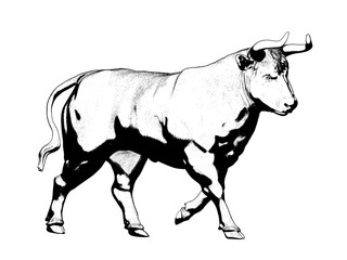 Big bull isolated on white background. Result of rendering 3d model