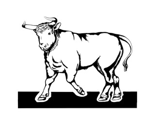 Fototapeta premium Big bull isolated on white background. Result of rendering 3d model