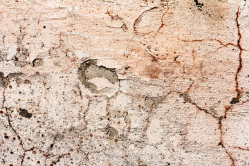 Background wall with putty painted pink texture surface