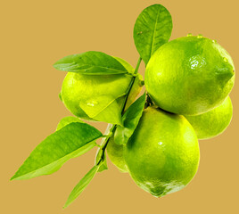 lime with leaves
