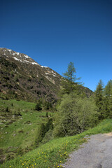 Panorama am Flüelapass in der Schweiz 27.5.2020