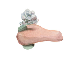 Watercolor element on a white background. Hand with soap in the foam. For design compositions on the subject of hygiene, bathroom, cleanliness, cosmetics, body care.