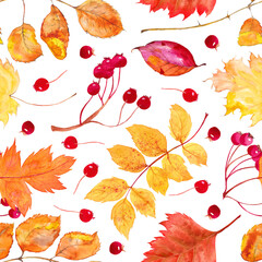 Watercolor autumn leaves seamless pattern on white background. 