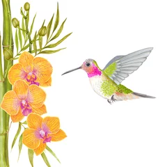 Crédence de cuisine en verre imprimé Colibri Fond de fleur d& 39 orchidée tropicale aquarelle avec feuilles de bambou et oiseau colibri.