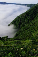 雲海の漂う朝の湖。摩周湖、北海道、日本。