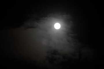 Mond