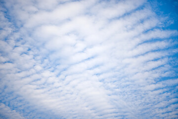 Obraz premium Cirrus clouds on a sultry summer day. A rare view of cirrus clouds on a calm day. Spindrift clouds. Background. Landscape.