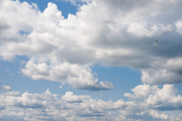 Cirrus clouds on a sultry summer day. A rare view of cirrus clouds on a calm day. Spindrift clouds. Background. Landscape.