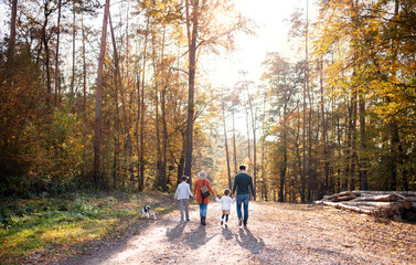 Fototapeta premium Rear view of young family with small children and dog on a walk in autumn forest.