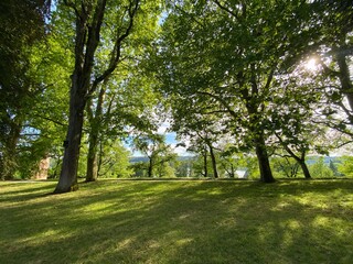 Landscape of The Spring Avenue or Frühlingsstrasse (Flower Island Mainau on the Lake Constance or...