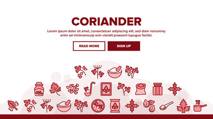 Fototapeta na wymiar Coriander Herbal Plant Landing Web Page Header Banner Template Vector. Coriander Spice Leaf And Seeds, In Bag And Bottle, On Spoon And Cut Desk Illustrations