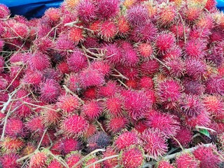 rambutan fruit