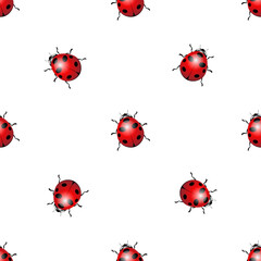 Seamless pattern with ladybug.
