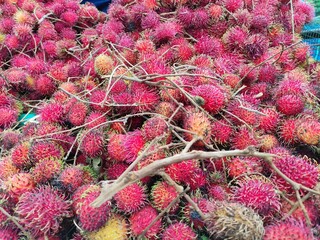 Rambutan Fruit