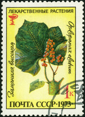 USSR - 1973: shows Oplopanax, Echinopanax Elatum, Medicinal Plants, 1973
