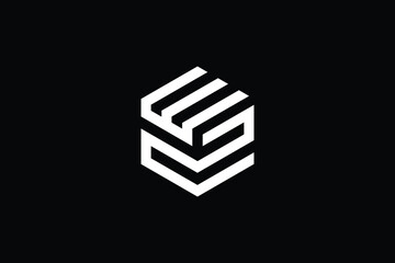 Minimal Innovative Initial ZW logo and WZ logo. Letter ZW WZ creative elegant Monogram. Premium Business logo icon. White color on black background