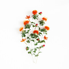 Autumn composition. Orange flowers on white background. Autumn, fall concept. Flat lay, top view