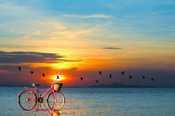 Fototapeta premium reflection of bicycle on water and sunset on sea and silhouette birds flying to home over sea surface
