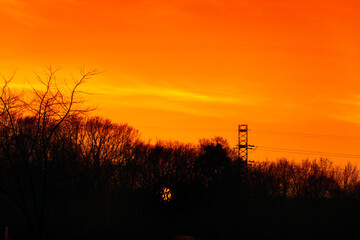 Fototapeta premium Sunset sky. Late orange sun with trees silhouettes scenery. Photography of tranquil skyline with woods silhouette and high voltage tower in the distance. Golden sundown gorgeous scenic wallpaper.