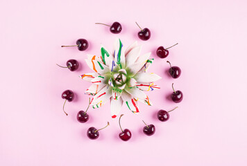 Colorful painted succulent plant with cherries frame on pink pastel background