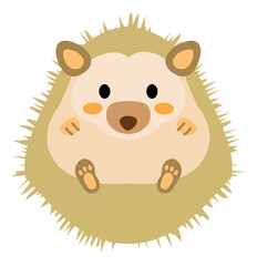 かわいいハリネズミ