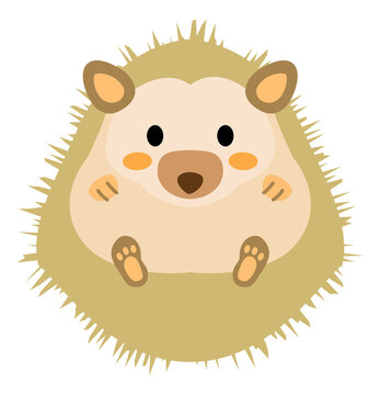 ハリネズミ Images Browse 1 1 Stock Photos Vectors And Video Adobe Stock