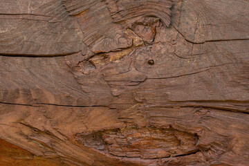 Naklejka premium Wood texture surface with old natural pattern. Untreated natural wooden beams. Vintage wood texture.