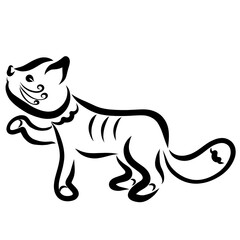 Obraz premium cute kitten asks for something, black pattern