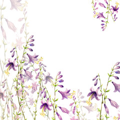 Obraz na płótnie Canvas Watercolor background delicate lily on stalks