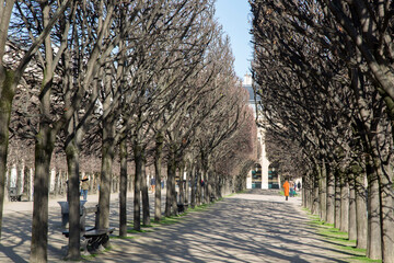 Palais Royal Park in Paris