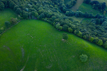 Aerial view of the landscape in Bustancilles in the Soba Valley included in the Alto Asón Natural Park and the Pasiegos Valleys of Cantabria in Spain. Europe