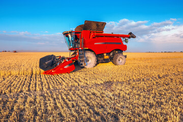Obraz premium Harvesting grain in the field, harvester close-up. Bright, summer, daytime landscape.