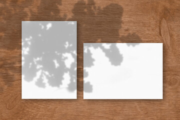 2 sheets of white textured paper against a wooden table background. Mockup overlay with the plant shadows. Natural light casts shadows from the oak leaves. Flat lay, top view. Horizontal orientation