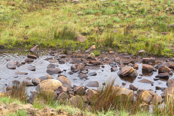 small river just out of Dullstroom, Mpumalanga, South Africa